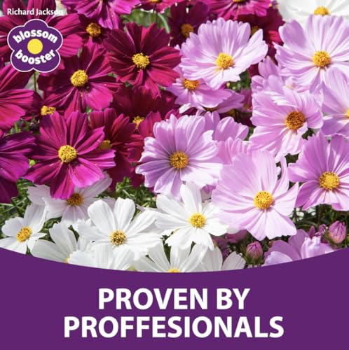 Richard Jackson Blossom Booster Plant Food, Bio-Active Technology, Fruits and Vegetables
| Richard Jackson Premium Plan